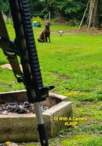 Screenshot_20251110_075152_Gallery