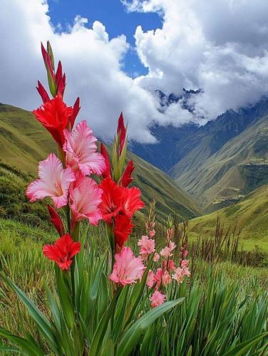 585891127_815563521468062_4256951861275254632_n