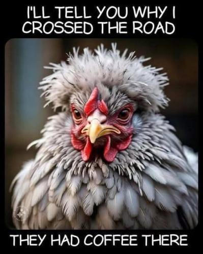 584522672_2086179778857979_6501544660442882028_n