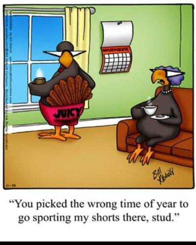 Screenshot_20251126_071156_Gallery