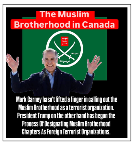 hasnt lifted a finger