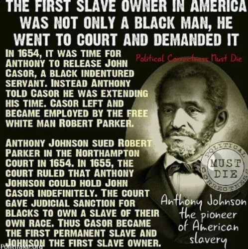 1st American Slave Owner img