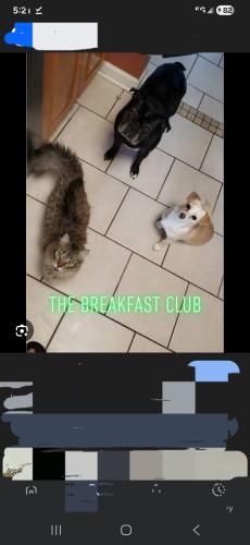 Screenshot_20251118_052145_Google