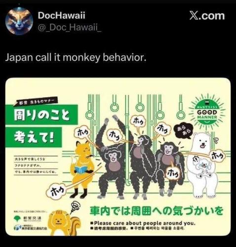 IMG_20251130_125954_046