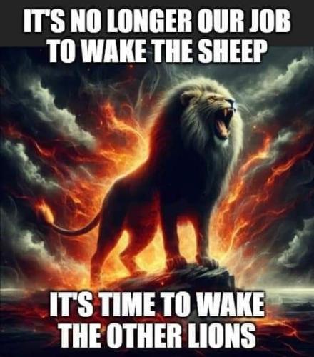 ae09dc992f774c98a115a091240135d9