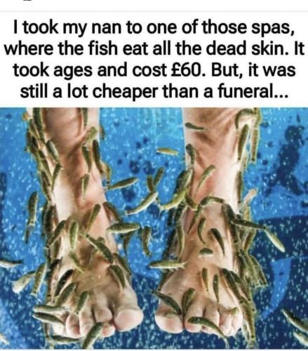 Screenshot_20251106_212419_Facebook