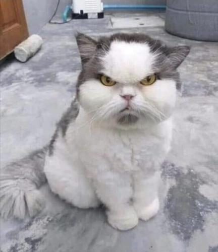 7ae82801-6d7c-4871-b5ac-6f0a07927c85