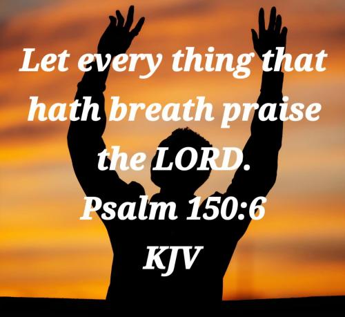 eb206f7c-7237-4831-80dd-20f6fd23ad25