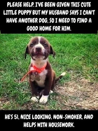 88e7656daa41320aae50453b58462f04