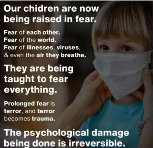 image_1635775185.819