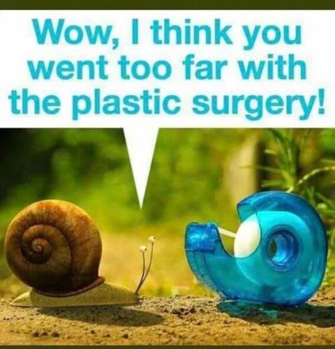 plastic-surgery-too-far