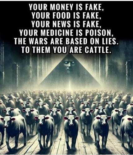 FB_IMG_1763445943613