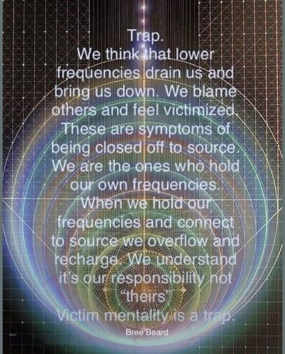 IMG_20251106_123422_304