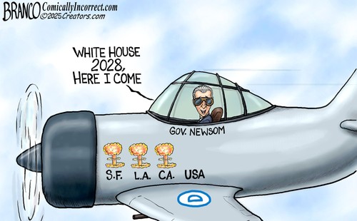 BRANCO GAVIN NEWSOM