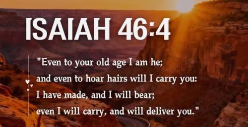 IMG_20251124_194410_001