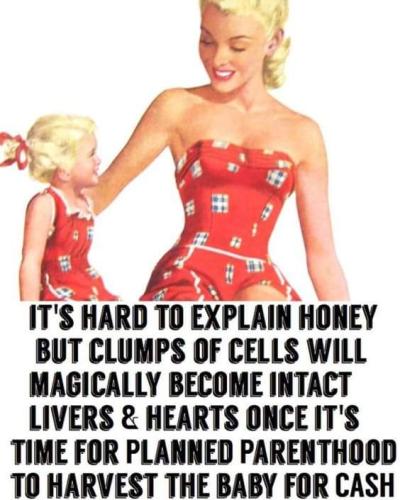 FB_IMG_1573267035080