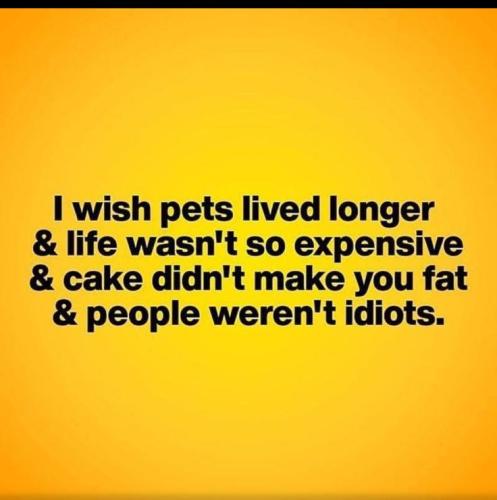 af1be7fb3ae71c6454ae3ca74bbc02fe