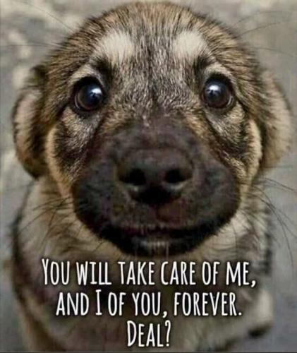 d072e52938945dde697bb166f861966e