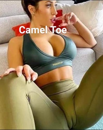 c1176b94-15d3-4a5b-a83b-92188fada1c1