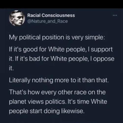 political-position-simple