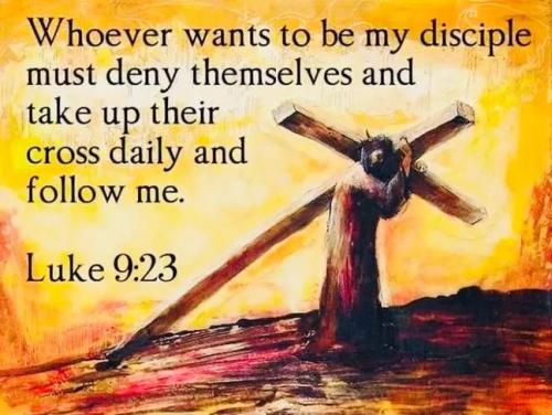 IMG_20251116_141908_555