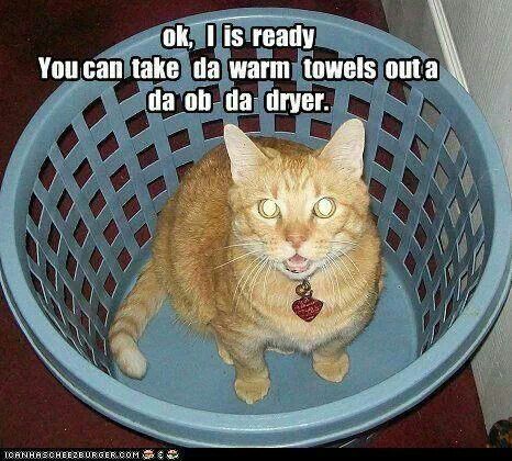 81709edc492594b1e7263efce16b0f2f