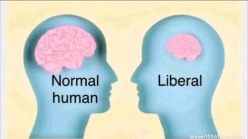 Screenshot_20251106_045527_TikTok