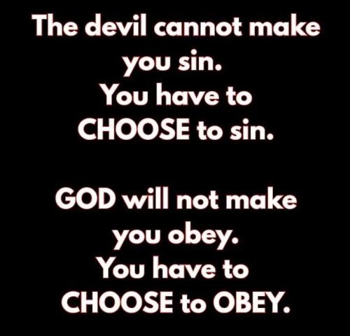 IMG_20251116_141812_090