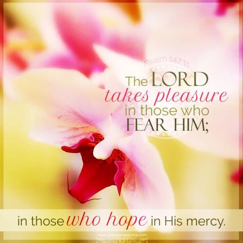 psa-147-11-ww-flwrstry-9x