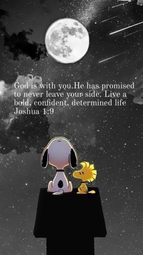 09f32463b09d8c416b4d8aeadea13f5e