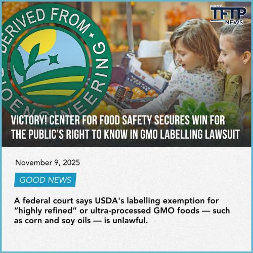 254345345343123123123123123453453453