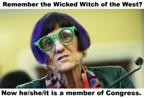 Wicked witch of the west.768px