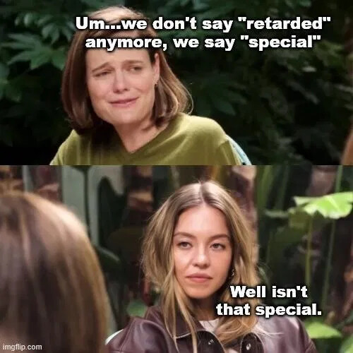 don't-say-retarded-say-special
