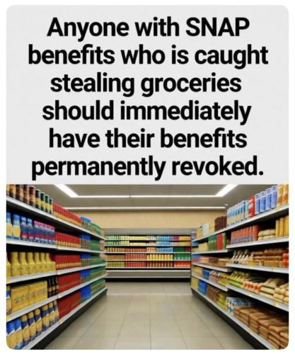 40c74868-f740-4d9a-92ed-94c91bb20541