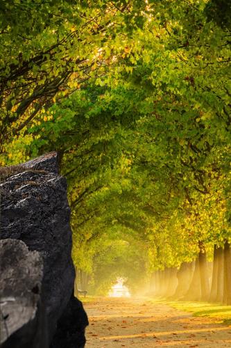 photostudio_1762194590697