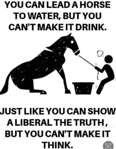 FB_IMG_1754099188998