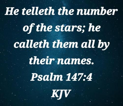 691e998c-0214-4f99-8cbb-960d10b8d87a