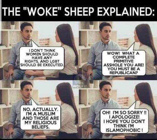 584523755_3828509817446819_332898524989086037_n