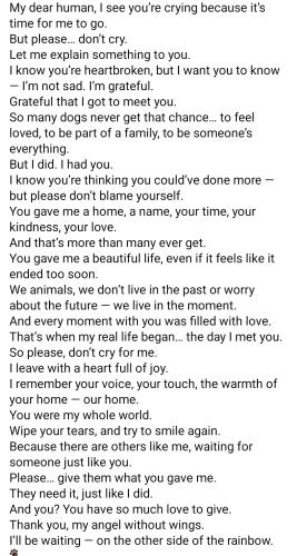 Screenshot_20251007_133536_Facebook