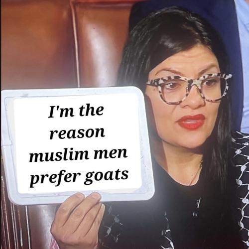 46b26b78-639c-4c62-b026-95124ab19a1e