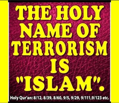 IMG_20251123_211459_583