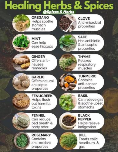 ,          ,  0424775766_746362