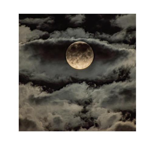 bb71264e-3626-44d5-823a-84c4883458a9