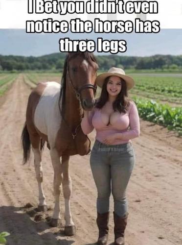 FB_IMG_1763262925035