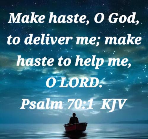 59588725-8e0f-4a3a-89d9-3fff445e1e2d