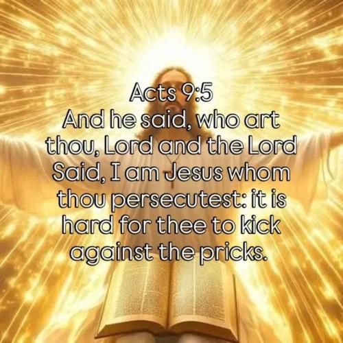 IMG_20251122_195316_796