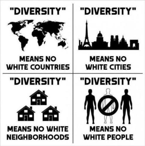 diversity