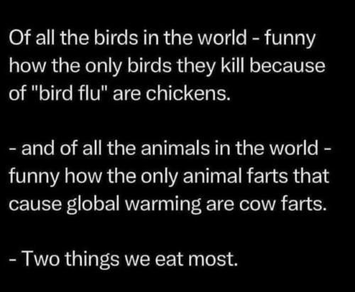 0f124dffdb578b1a233656b6d7215787_1024