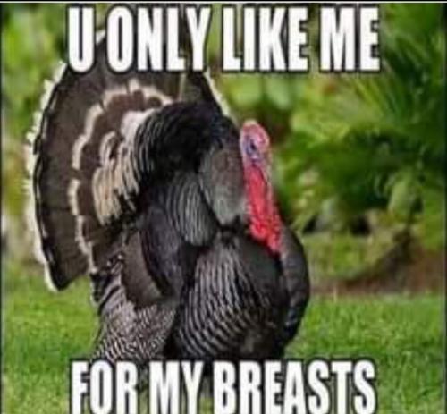 Screenshot_20251116_094849_Gallery