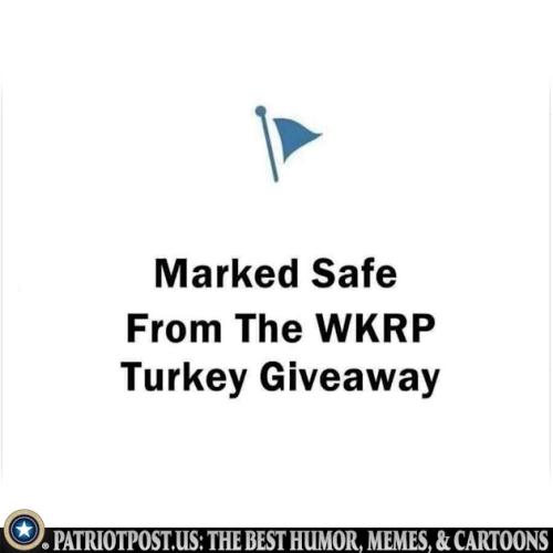 01KBD999DS5AD6M8KE1E8WJAHK